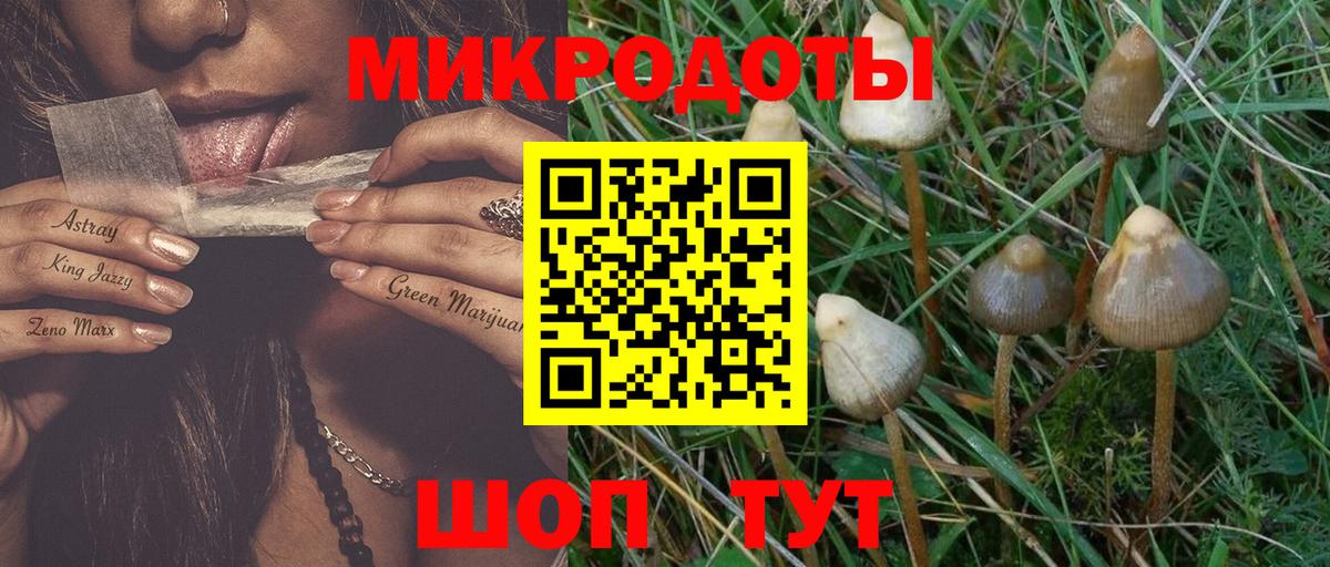 Псилоцибиновые грибы Cubensis Будённовск