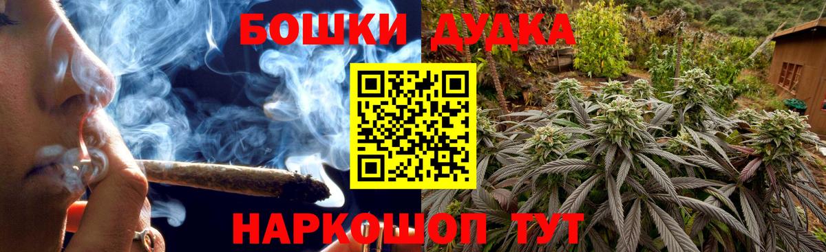 Бошки Шишки Amnesia Будённовск